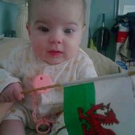 Aria's First St. David's Day.