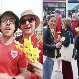 watch-wales-fans-bring-smiles-to-faces-by-handing-out-daffodils-in-croatia