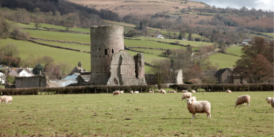 How to Sagely Answer, "Are the Welsh Celtic or Gaelic?"