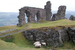 4 Best Books About Wales for All-Night Reading