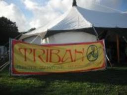 Maes Gwyrdd - Green Field at Welsh National Eisteddfod 2012