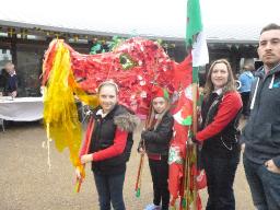 The Annual St Davids Dragon Parade