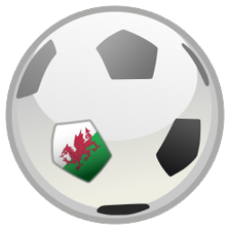 Wales v Northern Ireland