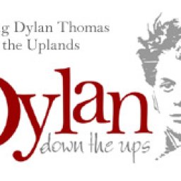 Dylan Down the Ups - meet the authors book signing