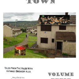 Mushroom Town - Vol 39 The Annals of Boz