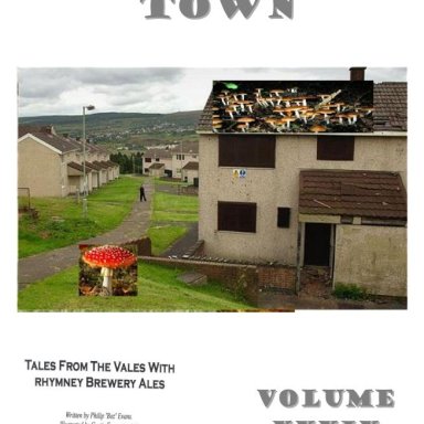 Mushroom Town - Vol 39 The Annals of Boz