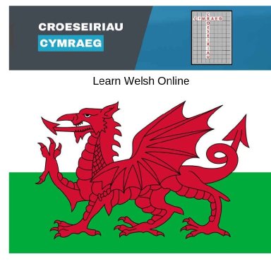 Yr Amser Dyfodol - Revision Crossword 1