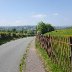 looking_back_talgarth_from_road_to_pwll_y_wrach