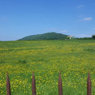 field_near_pwll_y_wrach