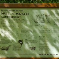 pwll_Y_wrach_nature_reserve