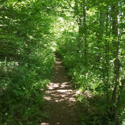 the_path_to_pwll_y_wrach.jpg