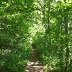the_path_to_pwll_y_wrach