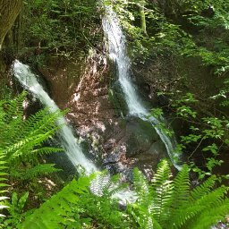 pwll_Y_wrach.jpg