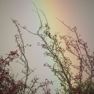 Rainbow.jpg