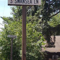 swansea lane.jpg