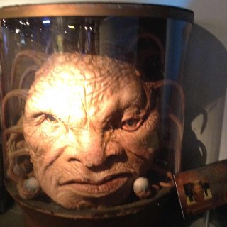 The Face of Boe