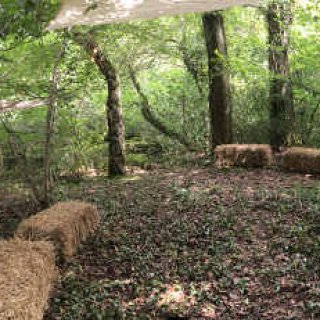 Hay bales at Between the Trees, Rudry 2017 