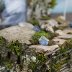 Door Into Fae Fairy House, detail view