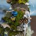 Door Into Fae Fairy House, detail view