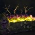 Rose Glen Fairy House, dark view