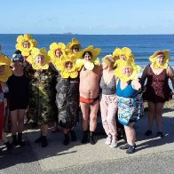 Daffy Dippers @ Whitesands Bay Feb 26th, 2023