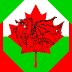 welsh canadian 6