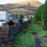 Back Lane