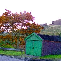 Tree garage