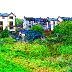 Tinted Houses