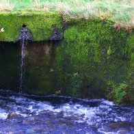 Moss on Nant Dar