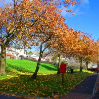 Post Box on Parc Green