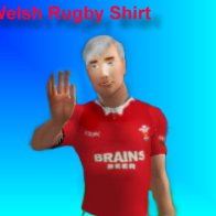 WelshRugbyShirt