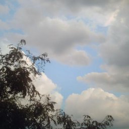 temp_ning_photo_file.jpg