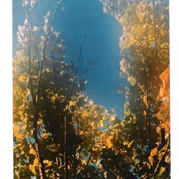 temp_ning_photo_file.jpg