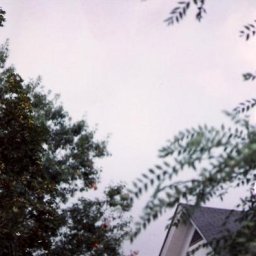 temp_ning_photo_file.jpg