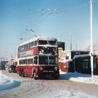 victoria park  roundabout copy