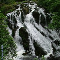 around Swallow Falls