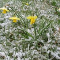 Wales in Winter