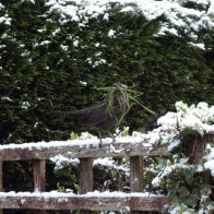 Wales in Winter