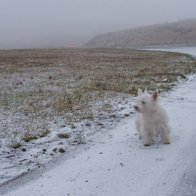 Wales in Winter