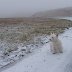 Wales in Winter