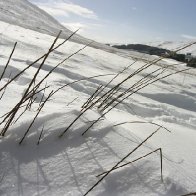 Wales in Winter