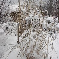 xmas2005 254
