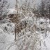 xmas2005 254