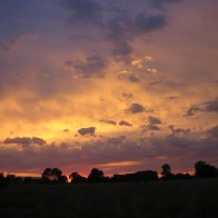 IMG_0213