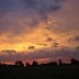 IMG_0213