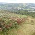 View from Cwmbach towards Aberdare/Aberaman