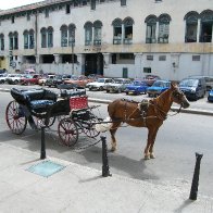 2008_0702Cuba20080109