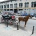 2008_0702Cuba20080109