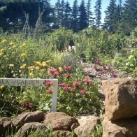 mandala garden